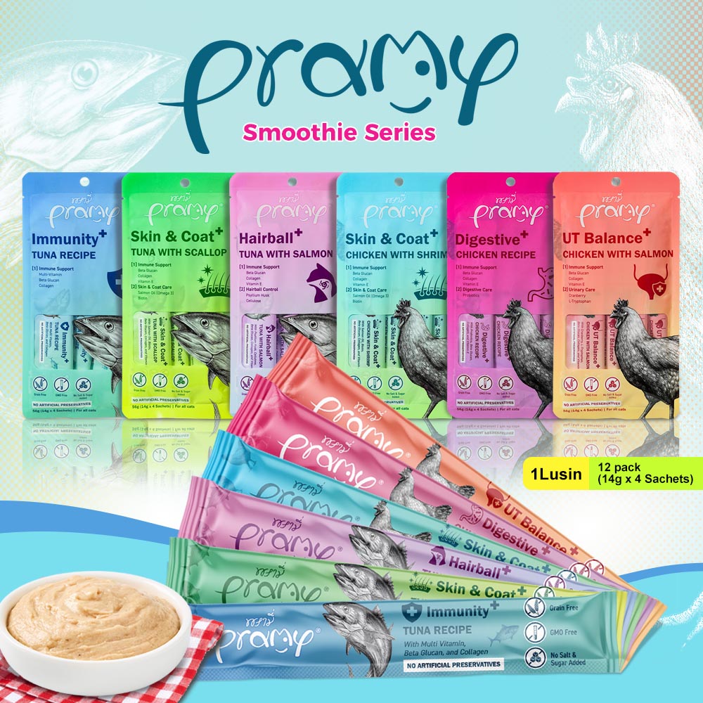 Pramy Creamy Treats - Smoothie Series